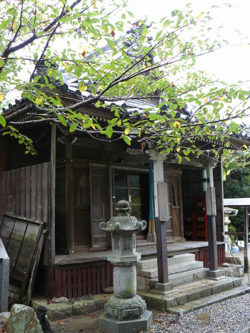 �������n��