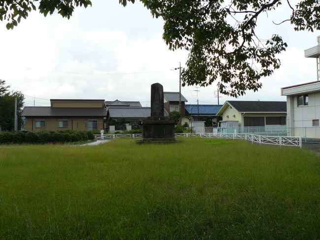 �v���w��