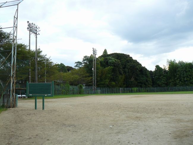 �v���w��