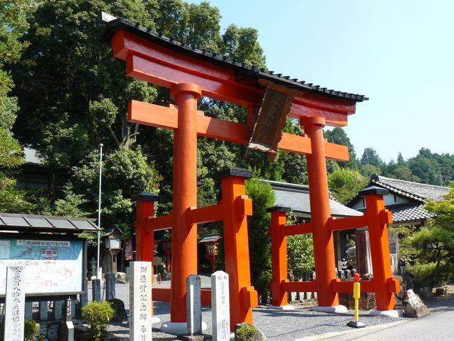 �����_��