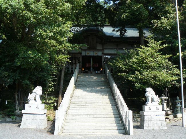 �����_��