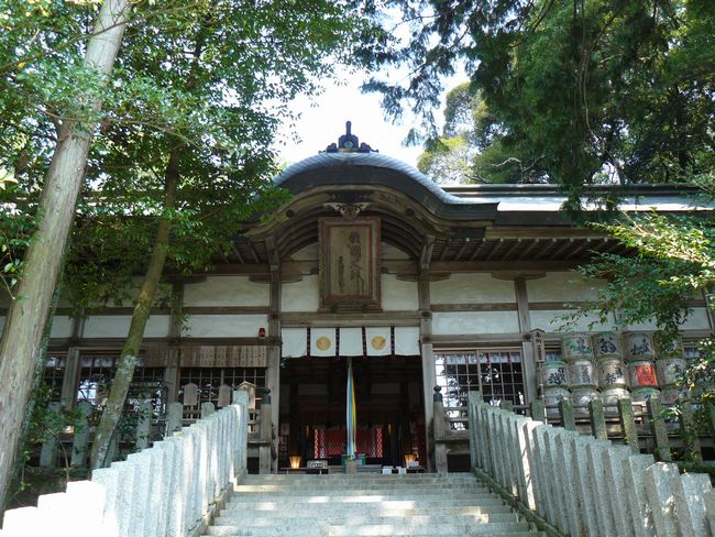 �����_��