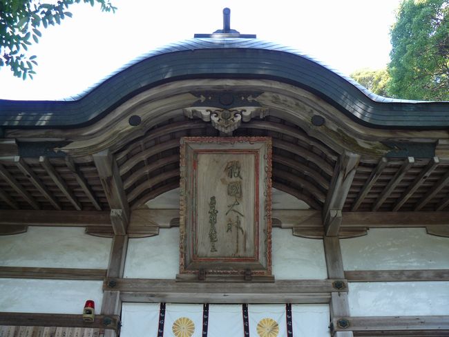 �����_��