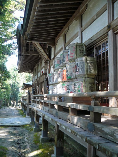 �����_��