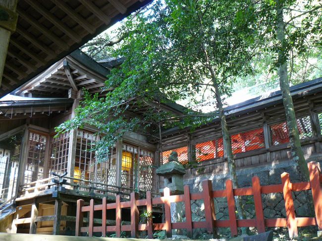 �����_��