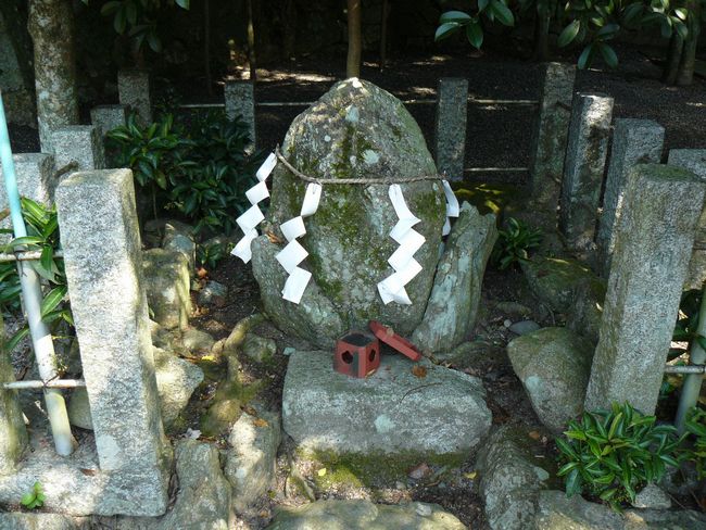 �����_��