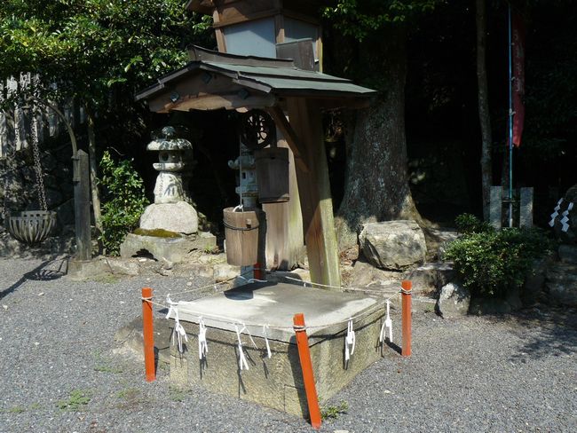 �����_��