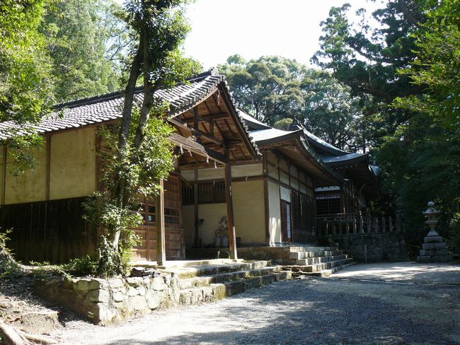 �����_��