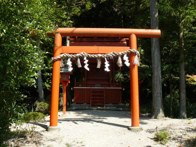 �����_��