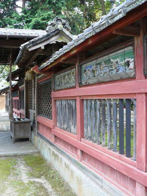 �����_��