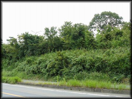 ���y�R�p����