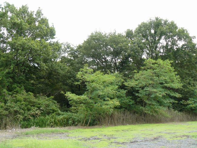 ���y�R�p����