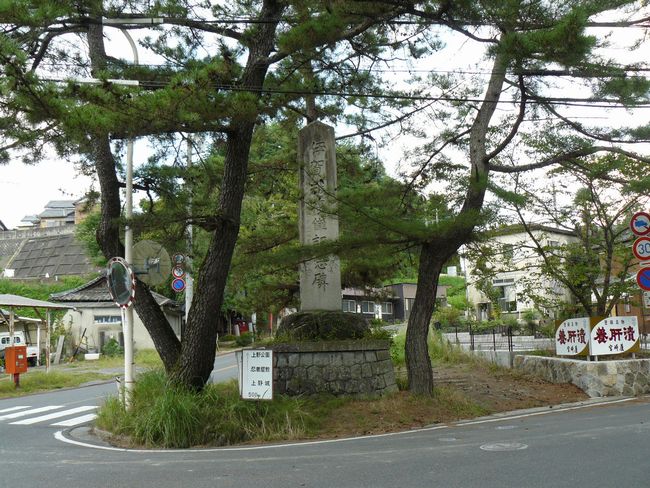 �����m��