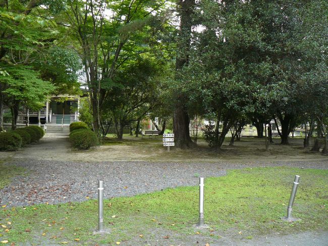 �����m��