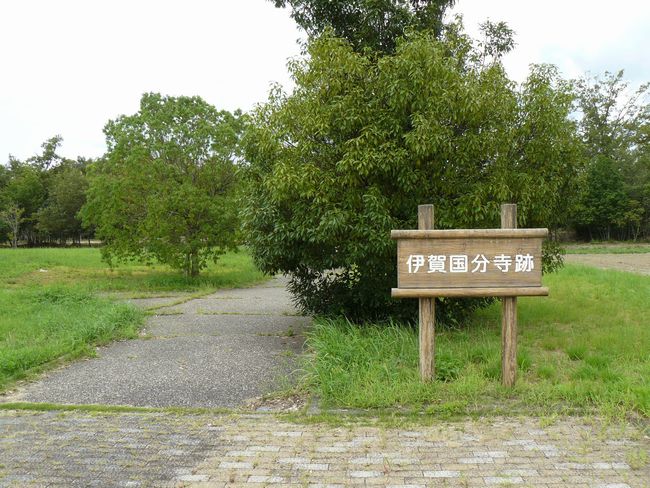 �ɉꍑ����