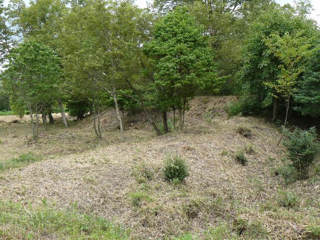 �ɉꍑ����