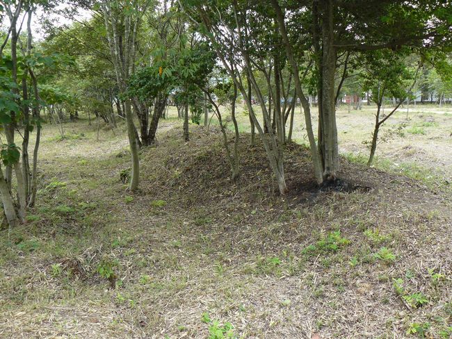 �ɉꍑ����