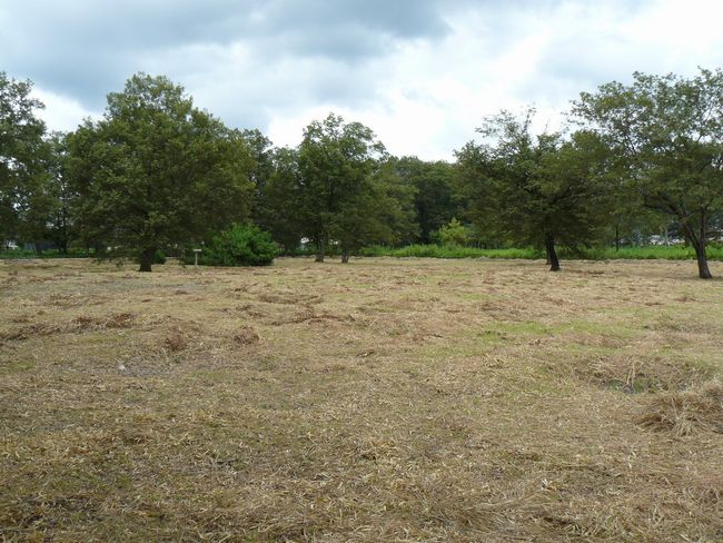 �ɉꍑ����