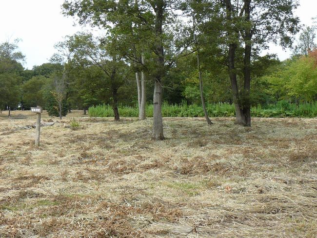 �ɉꍑ����