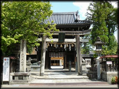 �����_��