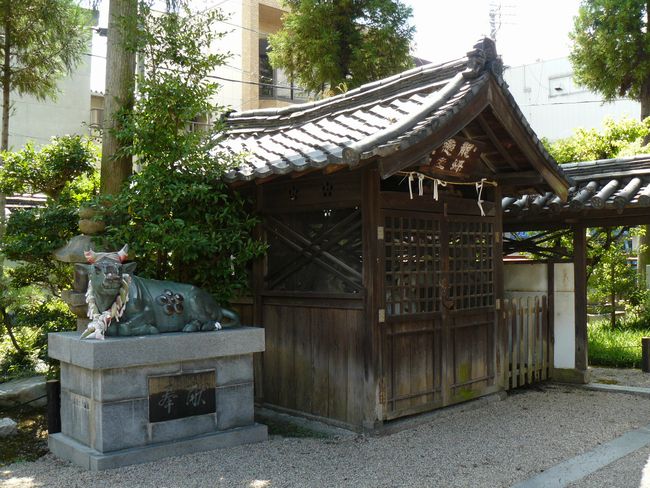 �����_��