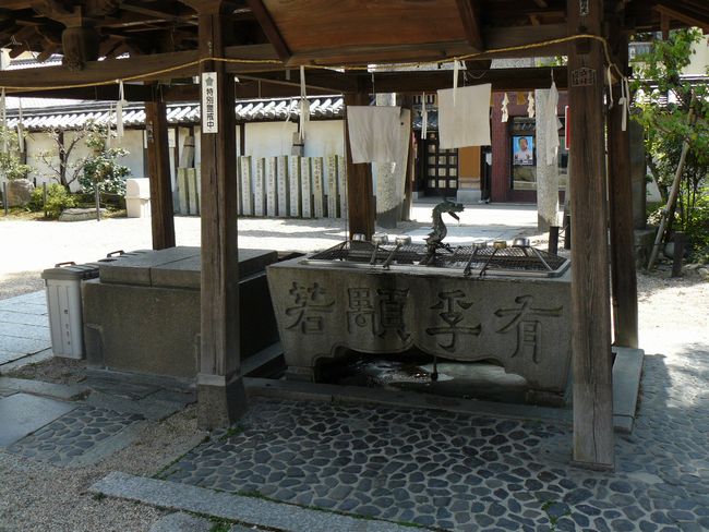 �����_��