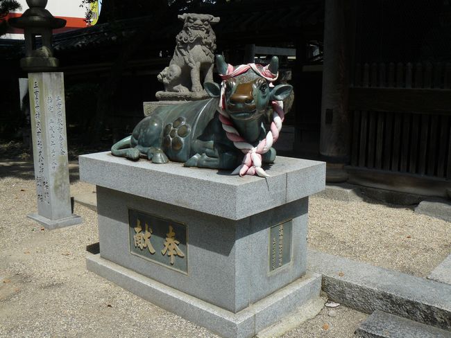 �����_��