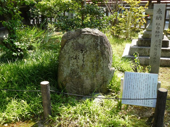 �����_��