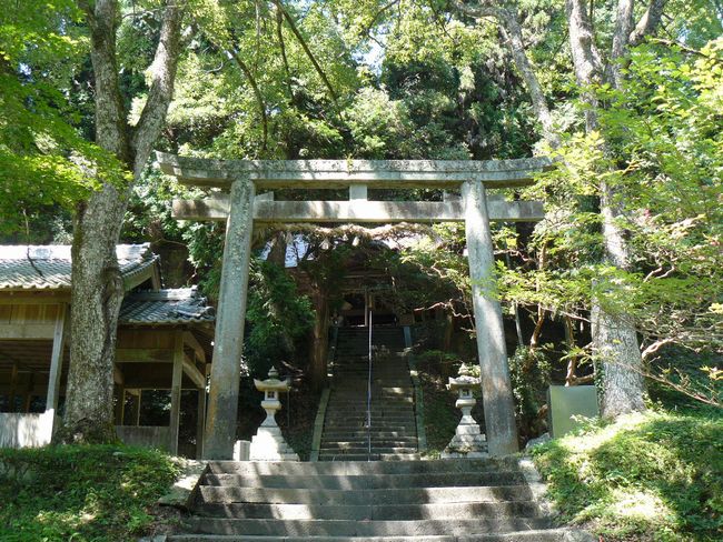 ���q�_��