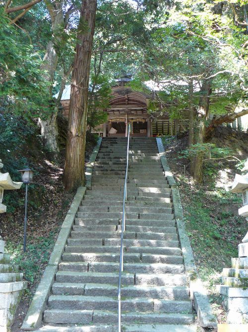 ���q�_��