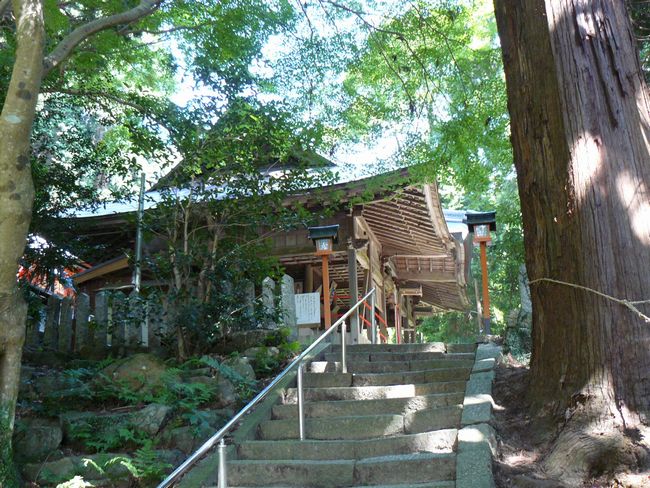 ���q�_��