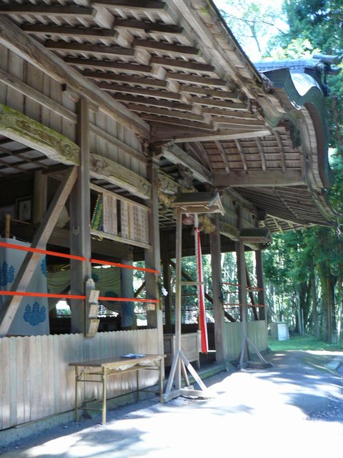 ���q�_��