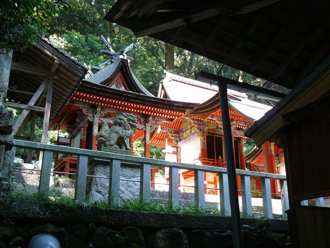 ���q�_��