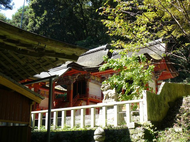 ���q�_��