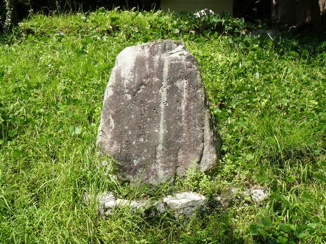 ���q�_��