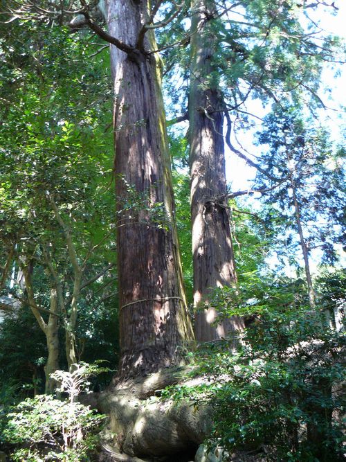 ���q�_��