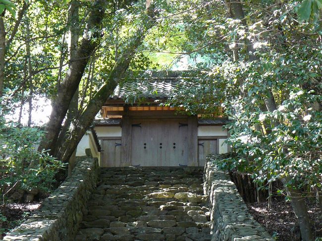 ���э蕶��