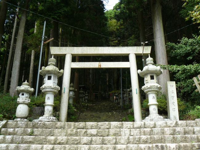 �����_��