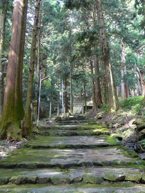 �����_��