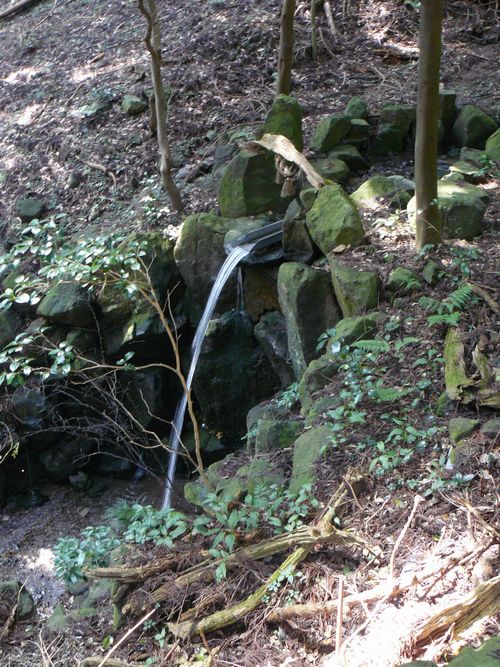 �����_��