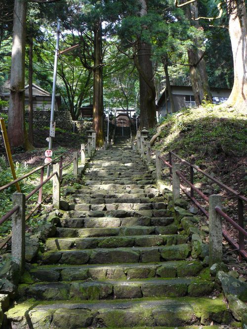 �����_��