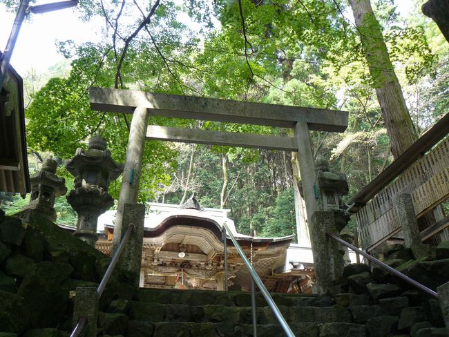 �����_��