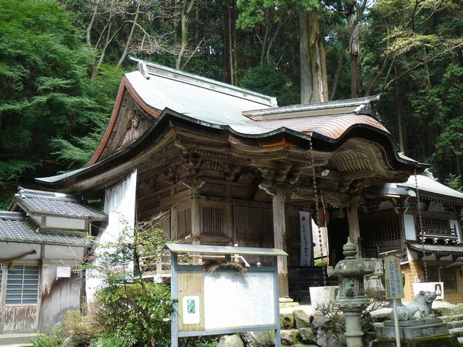 �����_��