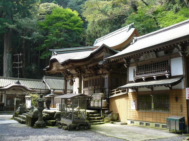 �����_��