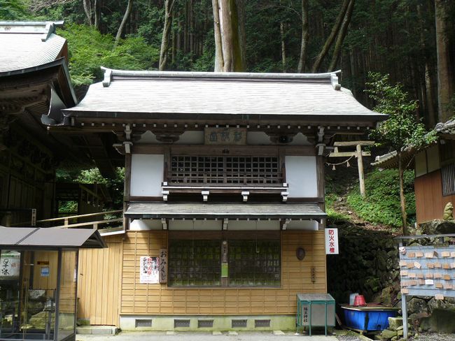 �����_��