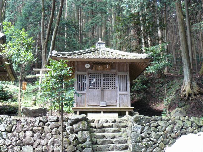 �����_��