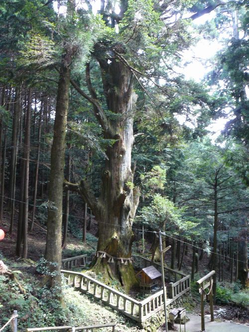 �����_��