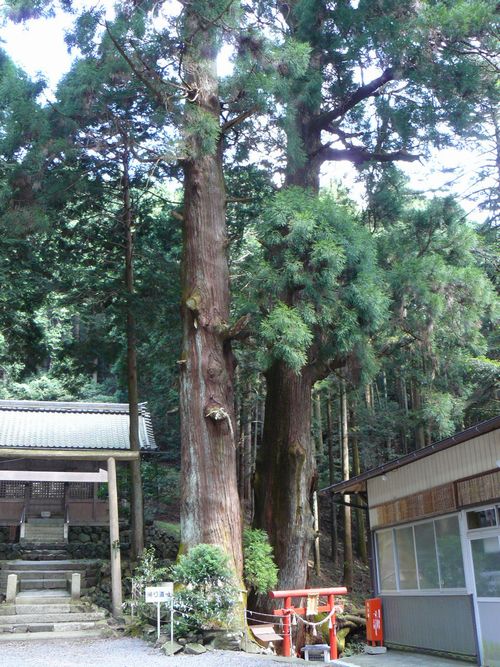 �����_��