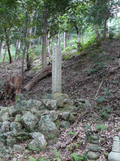 �����ω��i���ڎ��j