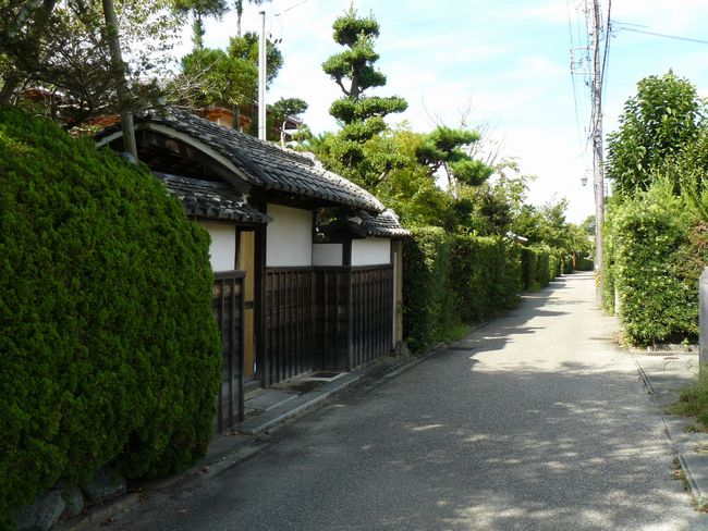 �����S��